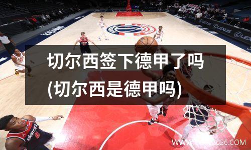 切尔西签下德甲了吗(切尔西是德甲吗)