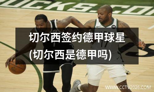切尔西签约德甲球星(切尔西是德甲吗)