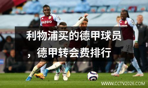 利物浦买的德甲球员，德甲转会费排行