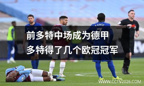 前多特中场成为德甲 多特得了几个欧冠冠军