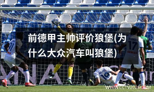 前德甲主帅评价狼堡(为什么大众汽车叫狼堡)