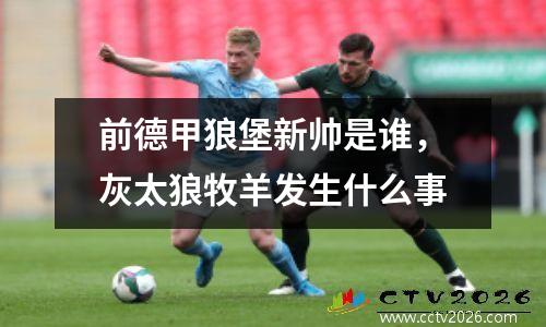 前德甲狼堡新帅是谁，灰太狼牧羊发生什么事
