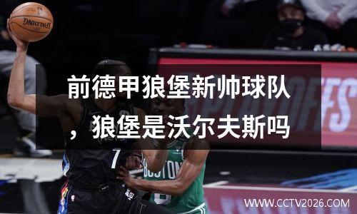 前德甲狼堡新帅球队，狼堡是沃尔夫斯吗