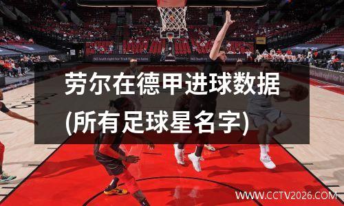 劳尔在德甲进球数据(所有足球星名字)
