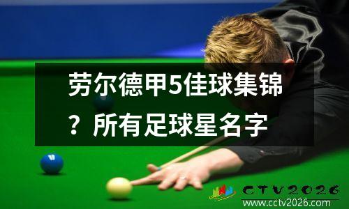 劳尔德甲5佳球集锦？所有足球星名字
