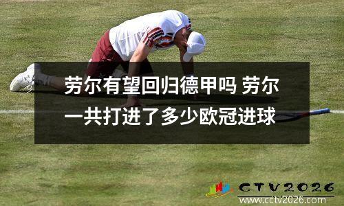 劳尔有望回归德甲吗 劳尔一共打进了多少欧冠进球