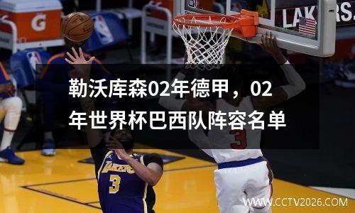 勒沃库森02年德甲，02年世界杯巴西队阵容名单