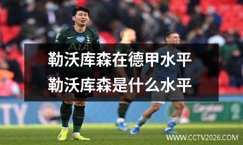 勒沃库森在德甲水平 勒沃库森是什么水平