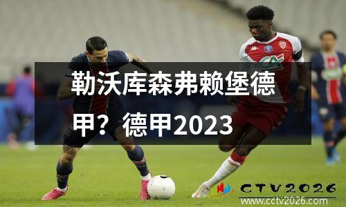 勒沃库森弗赖堡德甲？德甲2023
