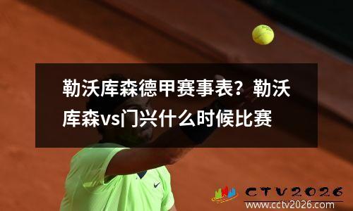 勒沃库森德甲赛事表？勒沃库森vs门兴什么时候比赛