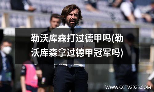 勒沃库森打过德甲吗(勒沃库森拿过德甲冠军吗)