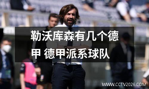 勒沃库森有几个德甲 德甲派系球队