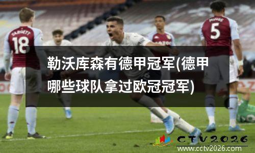 勒沃库森有德甲冠军(德甲哪些球队拿过欧冠冠军)