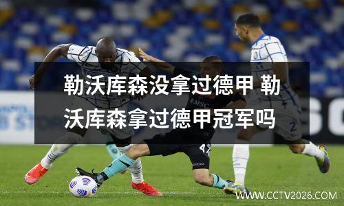 勒沃库森没拿过德甲 勒沃库森拿过德甲冠军吗