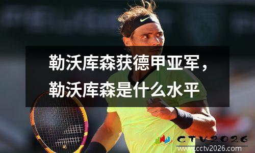 勒沃库森获德甲亚军，勒沃库森是什么水平