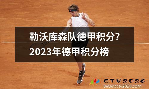 勒沃库森队德甲积分？2023年德甲积分榜