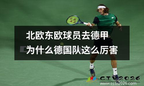 北欧东欧球员去德甲 为什么德国队这么厉害