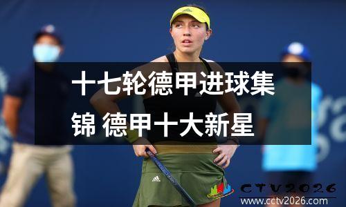 十七轮德甲进球集锦 德甲十大新星