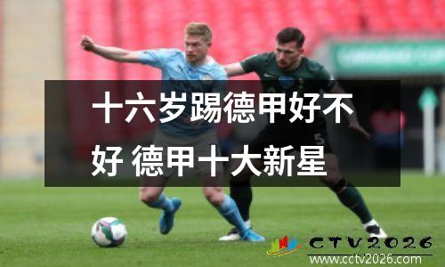 十六岁踢德甲好不好 德甲十大新星