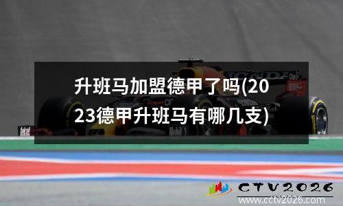 升班马加盟德甲了吗(2023德甲升班马有哪几支)