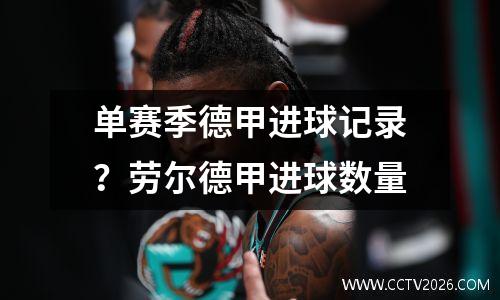 单赛季德甲进球记录？劳尔德甲进球数量
