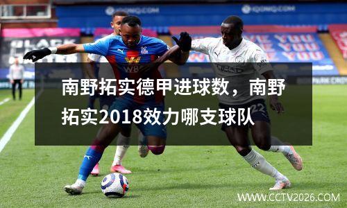 南野拓实德甲进球数，南野拓实2018效力哪支球队
