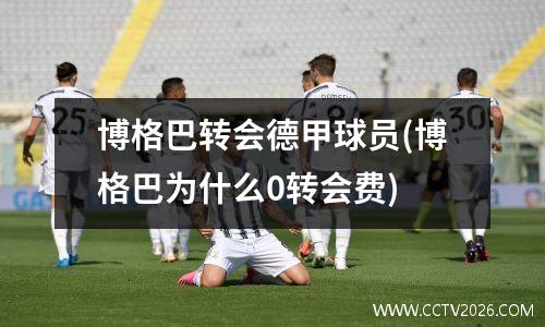 博格巴转会德甲球员(博格巴为什么0转会费)