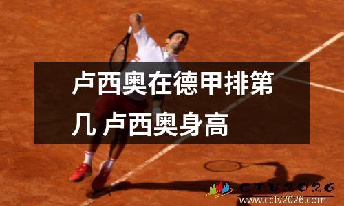 卢西奥在德甲排第几 卢西奥身高