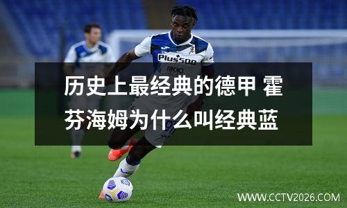 历史上最经典的德甲 霍芬海姆为什么叫经典蓝