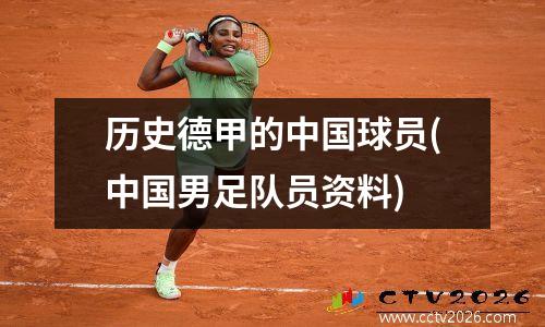历史德甲的中国球员(中国男足队员资料)