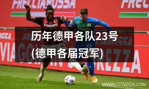 历年德甲各队23号(德甲各届冠军)