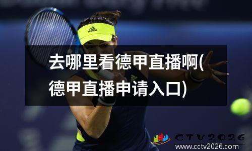 去哪里看德甲直播啊(德甲直播申请入口)