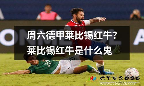 周六德甲莱比锡红牛？莱比锡红牛是什么鬼