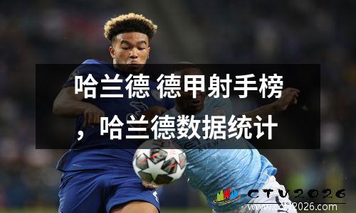 哈兰德 德甲射手榜，哈兰德数据统计