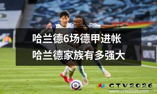 哈兰德6场德甲进帐 哈兰德家族有多强大