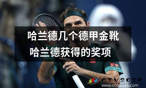 哈兰德几个德甲金靴 哈兰德获得的奖项