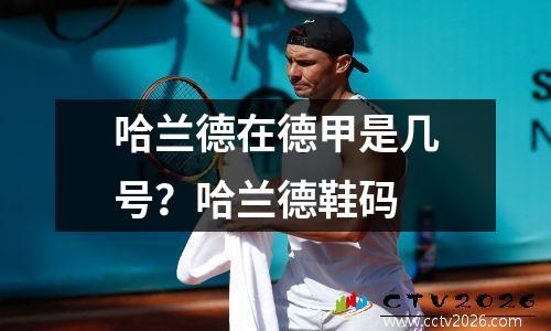 哈兰德在德甲是几号？哈兰德鞋码