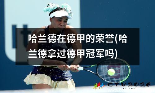 哈兰德在德甲的荣誉(哈兰德拿过德甲冠军吗)