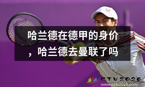 哈兰德在德甲的身价，哈兰德去曼联了吗