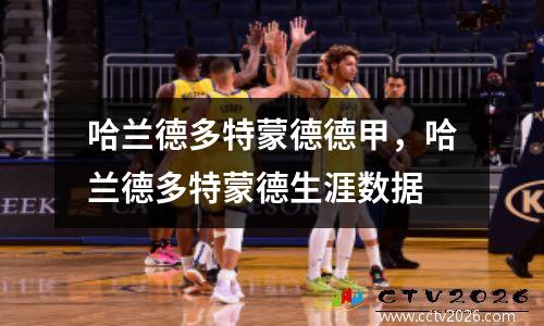 哈兰德多特蒙德德甲，哈兰德多特蒙德生涯数据