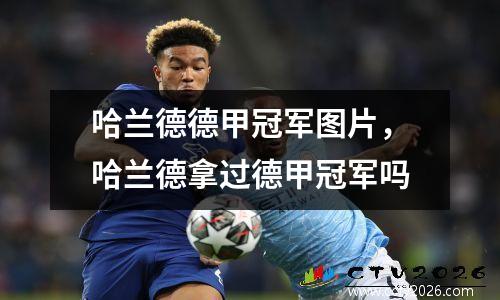 哈兰德德甲冠军图片，哈兰德拿过德甲冠军吗