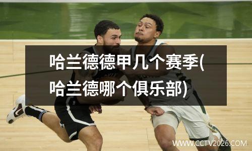 哈兰德德甲几个赛季(哈兰德哪个俱乐部)
