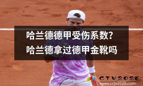 哈兰德德甲受伤系数？哈兰德拿过德甲金靴吗