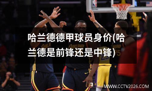 哈兰德德甲球员身价(哈兰德是前锋还是中锋)