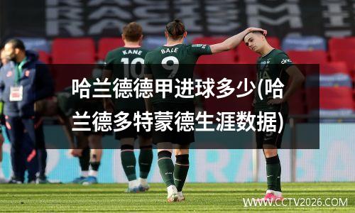 哈兰德德甲进球多少(哈兰德多特蒙德生涯数据)