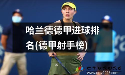 哈兰德德甲进球排名(德甲射手榜)