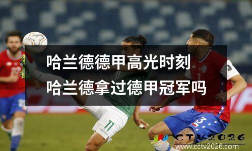 哈兰德德甲高光时刻 哈兰德拿过德甲冠军吗