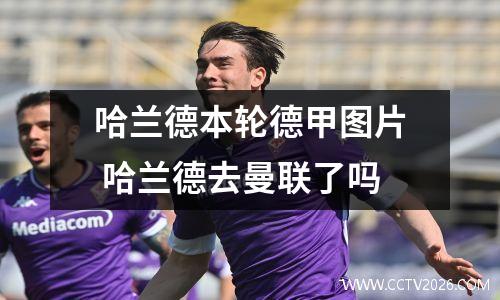 哈兰德本轮德甲图片 哈兰德去曼联了吗