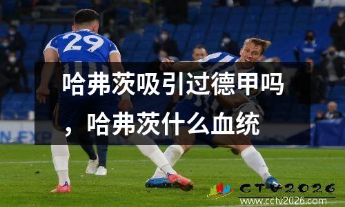 哈弗茨吸引过德甲吗，哈弗茨什么血统