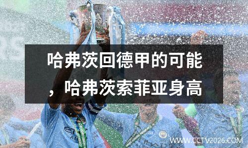 哈弗茨回德甲的可能，哈弗茨索菲亚身高